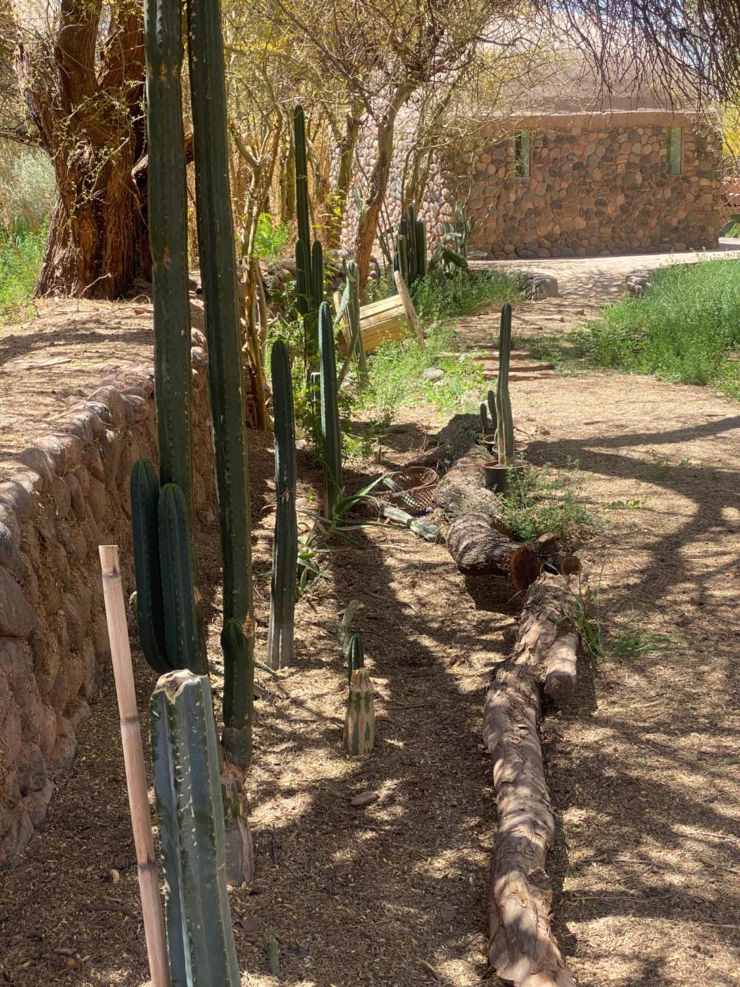 Casa Luna Vendégház San Pedro de Atacama Kültér fotó