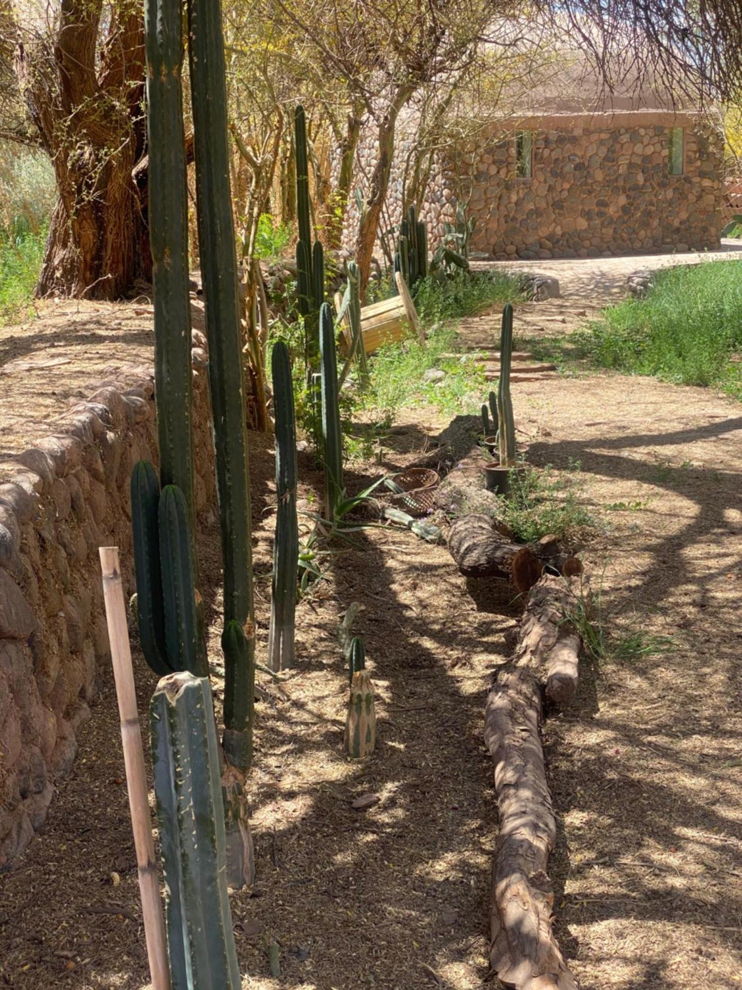 Casa Luna San Pedro de Atacama Kültér fotó
